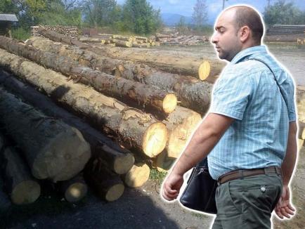 Hoţii strigă hoţii: Angajaţii Inspectoratului Silvic, suspectaţi că "ţin spatele" hoţilor de lemne
